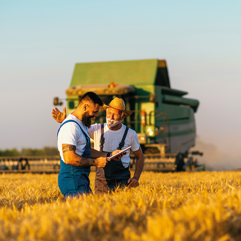 Koordinatensuche mit RTK-Technik zur präzisen Bestimmung von Grenzpunkten und Flurstücken.